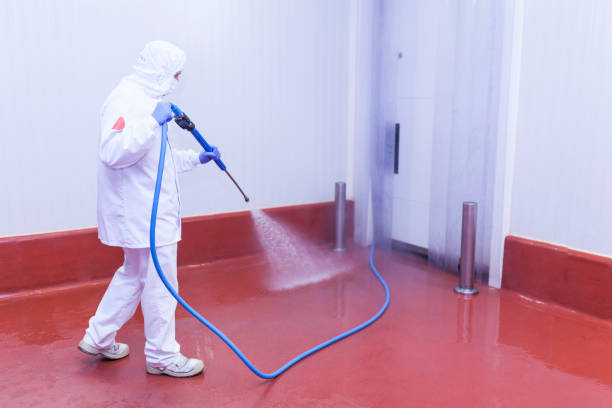 Pre-Holiday Cleaning in Alva, OK